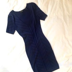 Torn by Ronny Kobo Fitted Dress